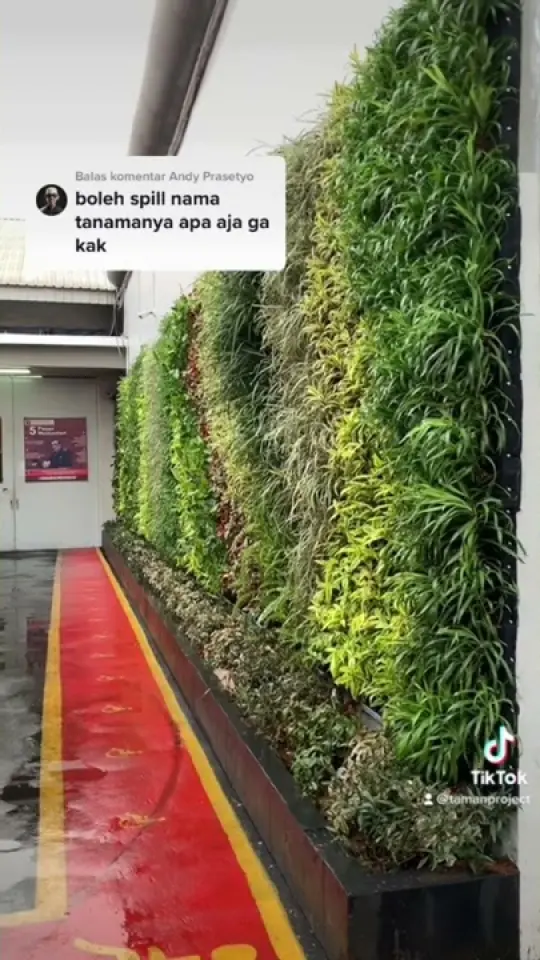 Tanaman Vertical Garden yang Mudah Dirawat