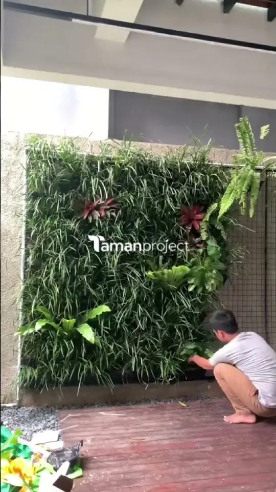 Timelapse Pemasangan Vertical Garden